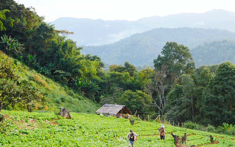 classement en zone agricole du plu