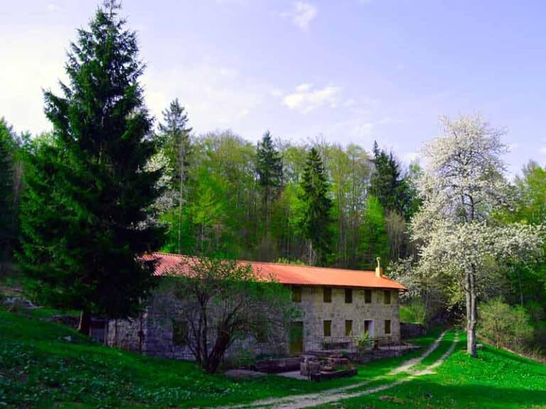maison forestière, public ou privé ?