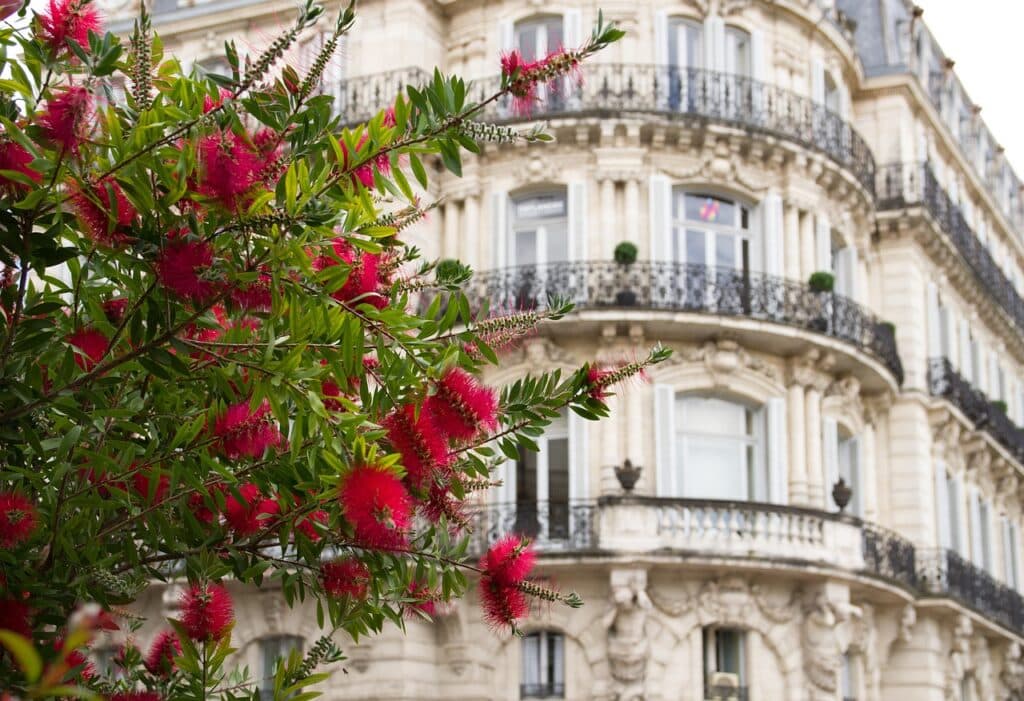 avocat fonction publique montpellier